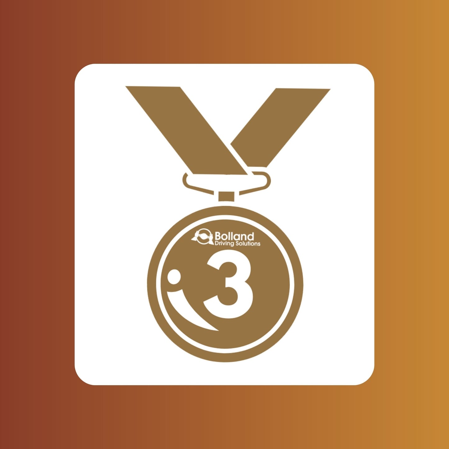 Bronze Program