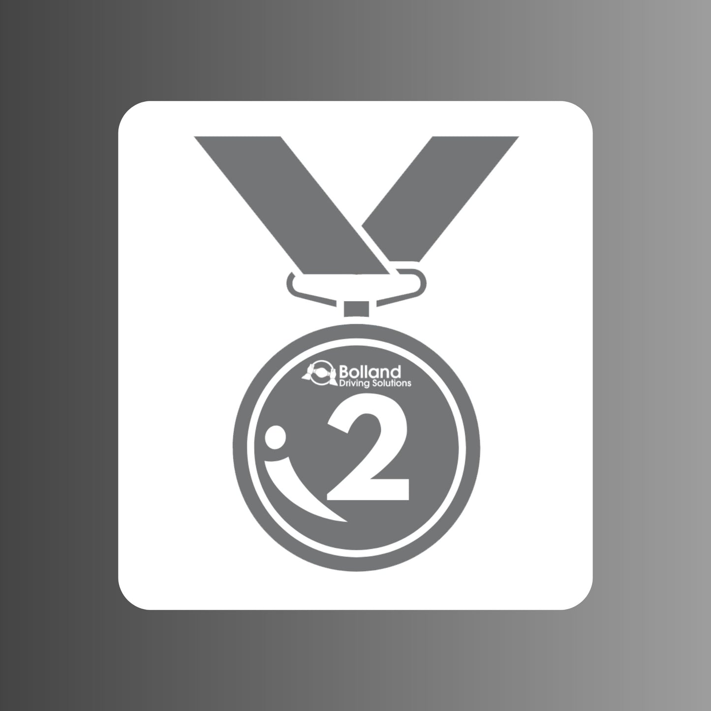 Silver Program