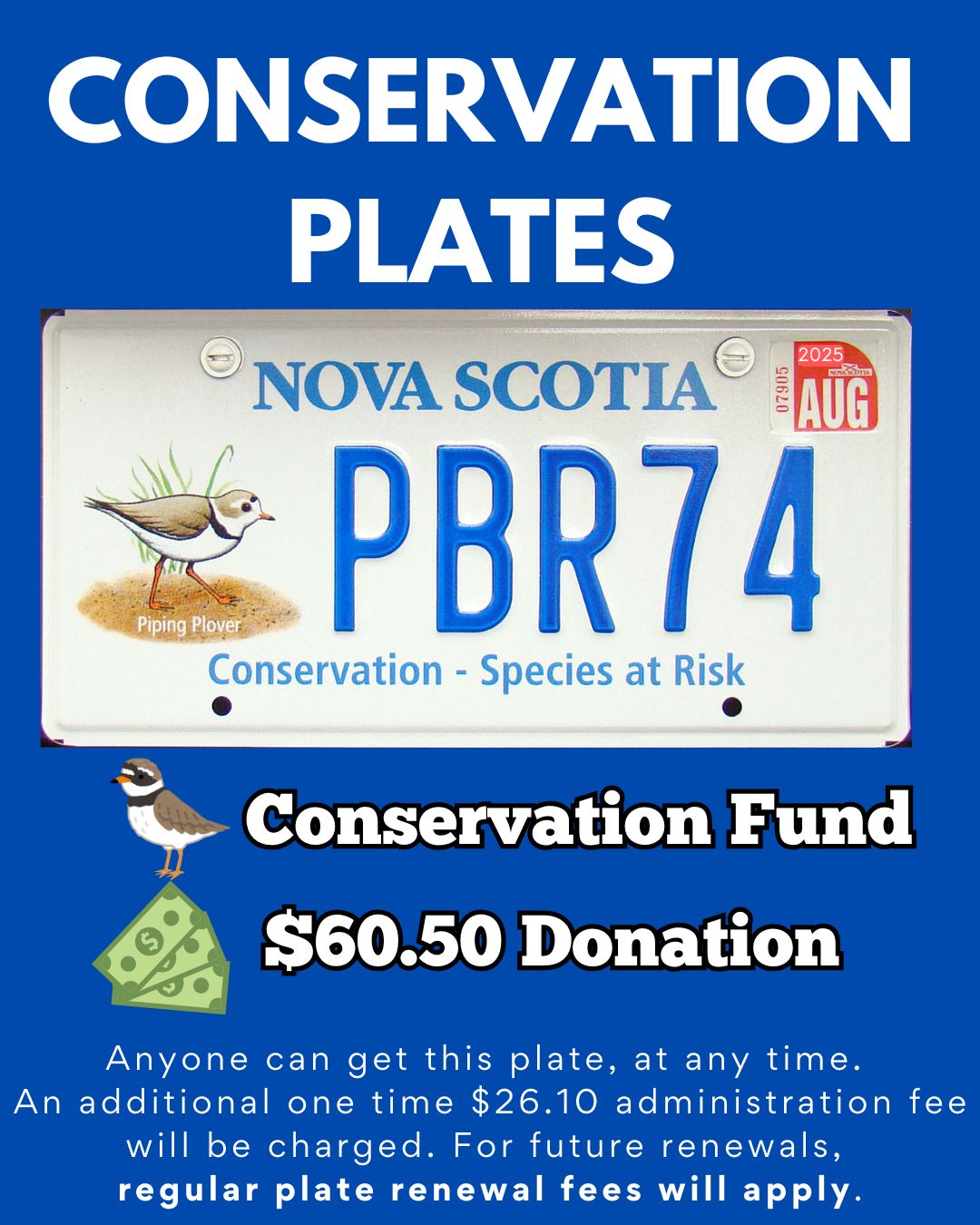 🐤 How to get special Conservation Plates in NS