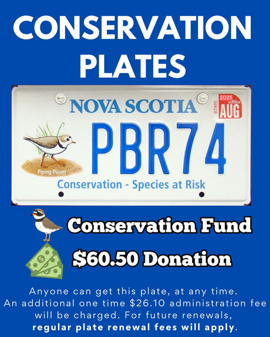 🐤 How to get special Conservation Plates in NS