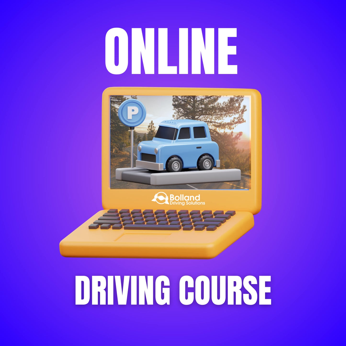 Online Course