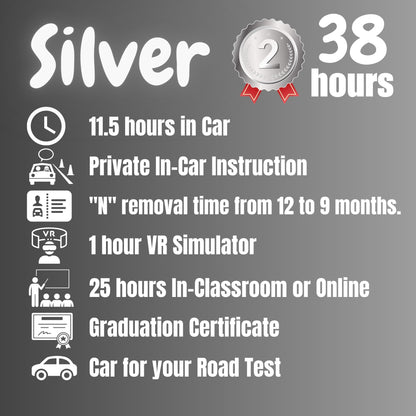 Silver Program